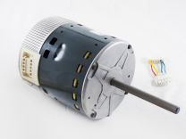58MV660006.jpg
